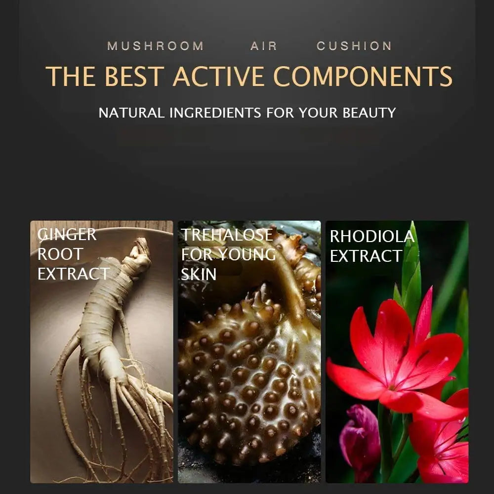 Crème BB Beauté Transparente Couvrance Naturelle Nourrit Hydrate Protège Soin Professionnel 2 Teintes au Choix 20g